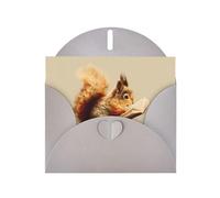 VVXBHGR Gray Holiday greeting check blank card and pearl beautiful blank note block Squirrel reading a book prints