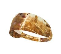 VVXBHGR Little mouse in the wheat field Prints Elastic Exercise Headband Sports Head Tie for Men and Women, Soft, Quick-Dry