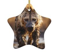 VVXBHGR Lone Hyena Prints Christmas Ceramic Star Pendant Festive and Creative Decoration Easy to hang