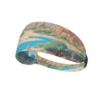 VVXBHGR oasis in the desert Prints Elastic Exercise Headband Sports Head Tie for Men and Women, Soft, Quick-Dry