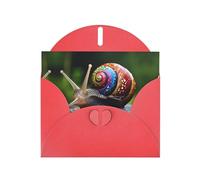 VVXBHGR Red Holiday greeting check blank card and pearl beautiful blank note block Snail in the colorful house prints