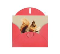 VVXBHGR Red Holiday greeting check blank card and pearl beautiful blank note block Squirrel reading a book prints