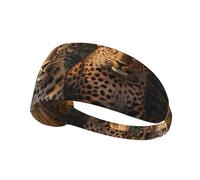 VVXBHGR Two leopard brothers Prints Elastic Exercise Headband Sports Head Tie for Men and Women, Soft, Quick-Dry