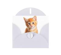 VVXBHGR White Holiday greeting check blank card and pearl beautiful blank note block Cute orange kitten prints