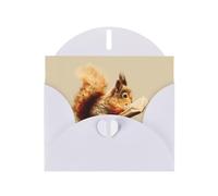 VVXBHGR White Holiday greeting check blank card and pearl beautiful blank note block Squirrel reading a book prints