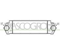 PRASCO VG917N002 Intercooler