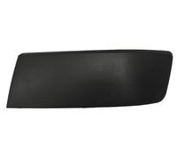 PRASCO VG9191244 Bumper moulding
