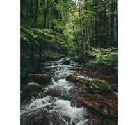 VwrxnchCoatx Cross Stitch Kits,Flowing Stream Mountain River Cross Stitch Ornament Kits for Adults Beginners,Counted Embroidery Needlepoint Kits Home Decor 40 * 50cm(Without Frame)