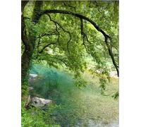 VwrxnchCoatx Cross Stitch Kits,Flowing Stream Mountain River Cross Stitch Ornament Kits for Adults Beginners,Counted Embroidery Needlepoint Kits Home Decor 40 * 50cm(Without Frame)