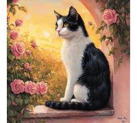 VwrxnchCoatx Cross Stitch Kits for Adults-Black and White Cat 11Ct Stamped Beginner Embroidery Fabric,DIY Embroidery Kit Easy Cross Stitch Animal Patterns (Cats)