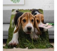 VWSXDCFVR 3D Printed beagle puppies Living Room Throw Microfiber Soft Warm Bedding Breathable cute playful Cozy Throw Blanket for Housewarming New Homeowners 80×90inch(200x230cm)