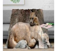 VWSXDCFVR 3D Printed Caracal cat Cosy Throw Microfiber Ultra Soft Warm Bedding Wild animal Living Room Throw Anti Static Fade Resistant for Apartment Dwellers Renters Teens 40x50inch(100x130cm)