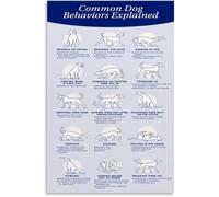 VWWJCCRO Canine Body Language Chart Poster Understanding Dog Signals Home Wall-Art(Unframed,08x12inch(20x30cm))