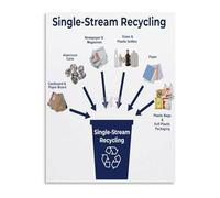 VWWJCCRO Educational Wall-Art Single Stream Recycling Guide Poster Canvas for Sustainability Classroom Office(Framed,12x18inch(30x45cm))