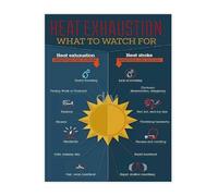 VWWJCCRO Heat Illness Prevention Awareness Poster Summer Information for a Cool Home and Work (Framed,16x24inch(40x60cm))