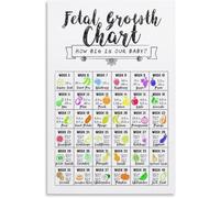 VWWJCCRO How Big Is Our Fetal Growth Chart Poster Pregnancy Nursery Decor Bump Weekly Wall-Art for Mom Dad(Unframed,16x24inch(40x60cm))
