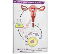 VWWJCCRO IVF Fertilization Process Chart Poster Embryo Development Diagram Educational Canvas Wall-Art Living Room Bedroom(Unframed,16x24inch(40x60cm))