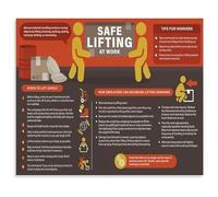 VWWJCCRO Professional Lifting Rules and Best Practices Guide Canvas Wall-Art for Shop Floor and Athlete Gift Idea(Framed,08x12inch(20x30cm))