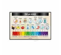 VWWJCCRO Study Room or Classroom Decor - The pH Scale Knowledge Educational Poster Canvas Wall-Art Print(Framed,12x18inch(30x45cm))