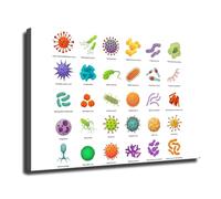 VWWJCCRO The Human Microbiome Poster, & Bad Bacteria Chart, Educational Wall-Art for Biology Students, Nurses, Science Teacher Gift(Unframed,12x18inch(30x45cm))