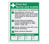 VWWJCCRO Thermal Burn Poster First Degree to Third Degree Scalds Steps Medicine Chart Bedroom Wall Decor(Framed,12x18inch(30x45cm))