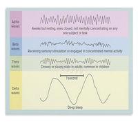 VWWJCCRO Understanding Your Sleep Poster An Artistic Guide to Brain Activity Patterns Canvas Wall-Art(Framed,16x24inch(40x60cm))