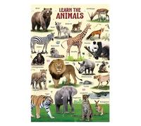 VWWJCCRO What's Your Favorite Wild Animal? Educational Poster - Interactive Wildlife Chart for Circle Time, Library, or Early Childhood Class(Framed,08x12inch(20x30cm))