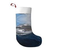 VXXNlnn Cruise Ship Print Christmas Stocking Party Decoration – Large Xmas Tree Hanging Ornament for Fireplace, Home & Office