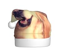 VXXNlnn Festive Christmas Hat for Adults â€“ Unisex Santa Hat with Lovely Golden Retriever Dog Print Design, Perfect for Xmas, Holiday Parties