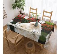 VXXNlnn Stylish Short-haired pomeranian dog Print Tablecloth â€“ Rectangle Dining Table Cover for Holiday, Party, Picnic â€“ Kitchen Decor Tabletop