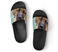 VYJLOO Slippers For Women Dog House Slides Thick Sole Shower Sandals For Indoor Outdoor