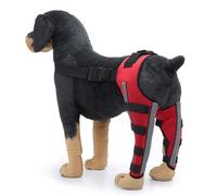 Vyloky Rear Knee Protection for Dogs, Adjustable Five-Legged, XS-L, Pain Relief Made of Breathable Polyester, Reinforced Magic Sticker (with Mirror Stripes) (Red + Reflective Stripes, XS)