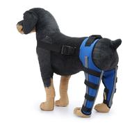 Vyloky Rear Knee Protection for Dogs, Adjustable Five-legged, XS-L, Pain Relief Made of Breathable Polyester, Reinforced Magic Sticker (with Mirror Strips) (Blue + Reflective Stripes, XS)