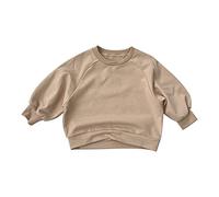 VYLYNL 18m Sweatshirt Toddler Kids Baby Boys Girls Basic Crewneck Pullover Sweatshirt Children's Solid Coat Tops Toddler Winter Clothes Boys (Khaki, 12-24 Months)