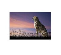 VYTE Animal Poster The Contemplative Cheetah in The Evening Poster Decorative Painting Canvas Wall Posters And Art Picture Print Modern Family Bedroom Decor Posters 08x12inch(20x30cm)