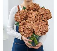 VYZXZAF Silk Light Coffee Hydrangea Artificial Flowers with Stem, 6Pcs 20" Large Full Faux Flower Lifelike Fall Artificial Hydrangeas for Home Table Autumn Bouquet Plant Outdoors Porch Halloween