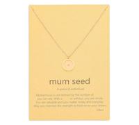 VZBarn Miscarriage Gifts for Mothers Tiny Seed Necklace Comfort Memorial Loss of Baby Women Sympathy Inspirational Jewelry, Stainless Steel, No Gemstone