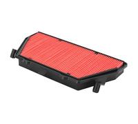Hiflofiltro Air Filter - HFA1931