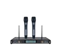 W Audio DTM 800H Twin Handheld Wireless Mic Sytem (863.0Mhz-865.0Mhz)