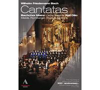 W.F. Bach: Cantatas (L'arpa Festante) [DVD] [2010]
