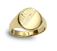 (W) Jewelco London Men's Solid 9ct Yellow Gold Diamond Cut Oval Signet Ring - JRN139