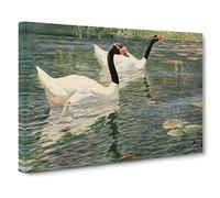 W Kuhnert Black Swan No.2 Canvas Print | Gallery Wrapped 30mm Frame Wall Art | 20x14 inches | Ready to Hang | Retro Bird Picture | Living Room Bedroom Lounge Office