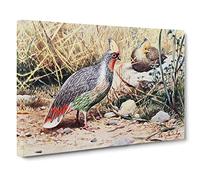 W Kuhnert Blood Pheasant Canvas Print | Gallery Wrapped 30mm Frame Wall Art | 30x20 inches | Ready to Hang | Retro Picture | Living Room Bedroom Lounge Office