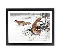 W Kuhnert Common Fox Vintage Framed Wall Art Print, Ready to Hang Picture for Living Room Bedroom Home Office Décor, Black A4 (34 x 25 cm)