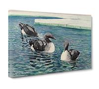 W Kuhnert Common Loon Canvas Print | Gallery Wrapped 30mm Frame Wall Art | 24x16 inches | Ready to Hang | Retro Picture | Living Room Bedroom Lounge Office