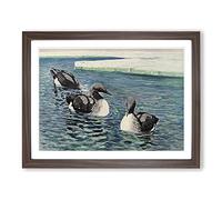 W Kuhnert Common Loon Vintage Framed Print | A2 Walnut Framed Wall Art | Ready to Hang | Classic Nature Picture | Living Room Bedroom Lounge Office