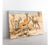 W Kuhnert Dorcas Gazelle Vintage Canvas Wall Art Print Ready to Hang, Framed Picture for Living Room Bedroom Home Office Décor, 76x50 cm (30x20 Inch)