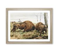 W Kuhnert European Bison Vintage Framed Print | A4 Oak Framed Wall Art | Ready to Hang | Classic Nature Picture | Living Room Bedroom Lounge Office