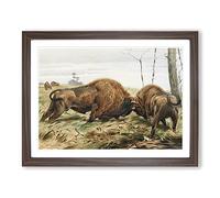 W Kuhnert European Bison Vintage Framed Print | A4 Walnut Framed Wall Art | Ready to Hang | Classic Nature Picture | Living Room Bedroom Lounge Office