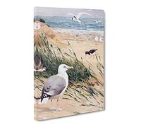 W Kuhnert European Herring Gull Canvas Print | Gallery Wrapped 30mm Frame Wall Art | 24x16 inches | Ready to Hang | Retro Picture | Living Room Bedroom Lounge Office
